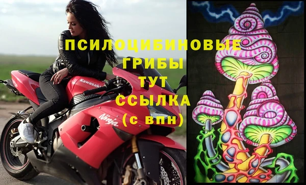 не бодяженный Богданович