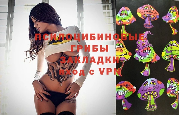 не бодяженный Богданович