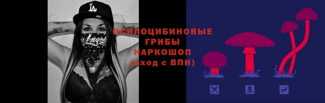 прущие крисы Рославль