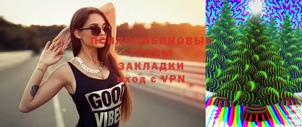 не бодяженный Богданович