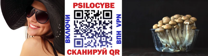 Галлюциногенные грибы прущие грибы Болотное